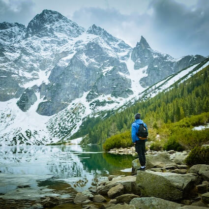 Bosque místico con niebla